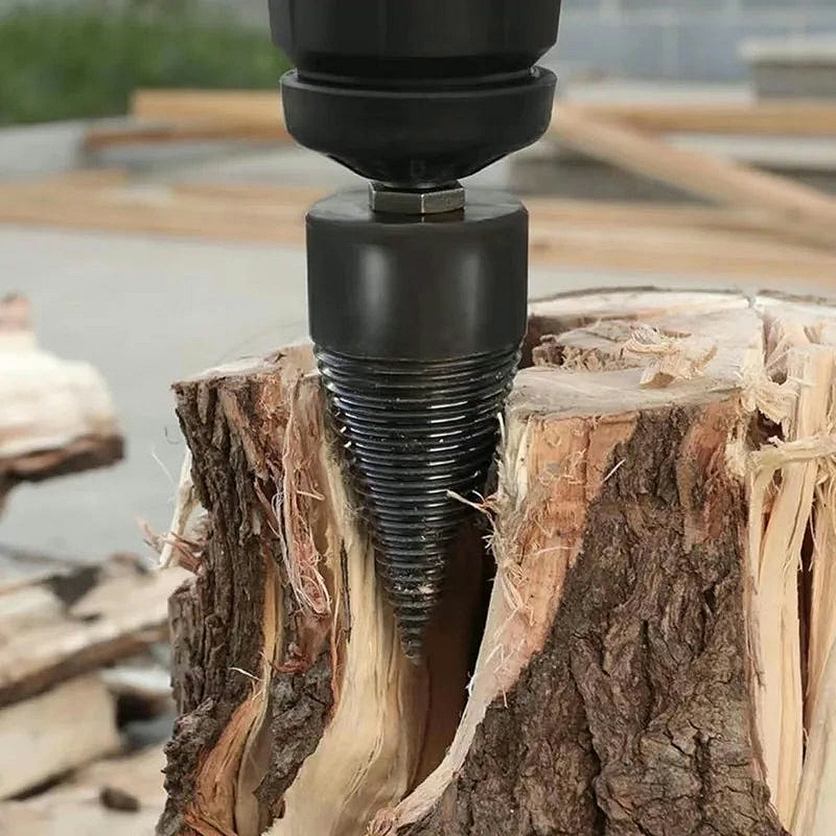 The cone driven into the end of a stump, splitting it